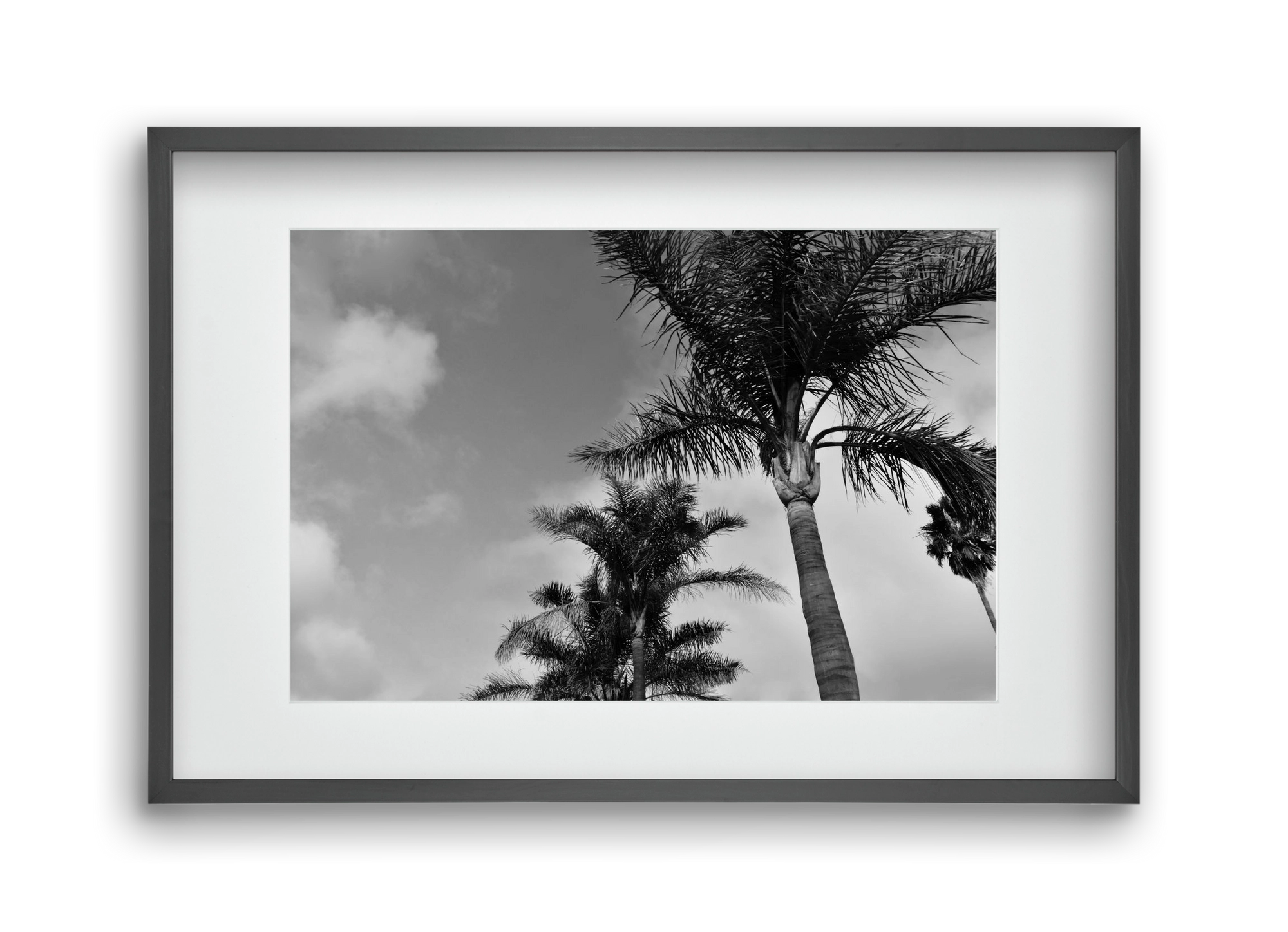 portfolio, 45x30 cm (30x20 cm), Fekete keret, paszpartuval