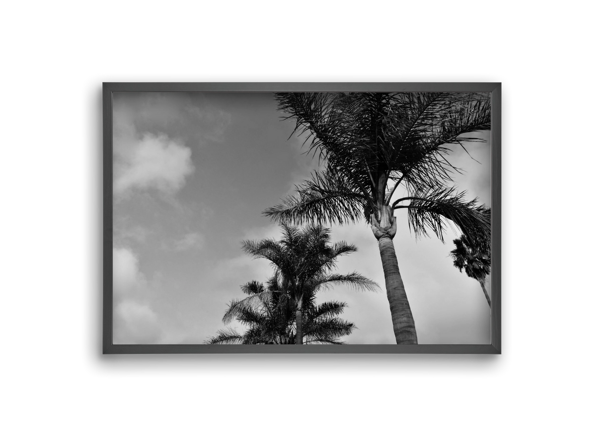 portfolio, 30x20 cm (30x20 cm), Fekete keret