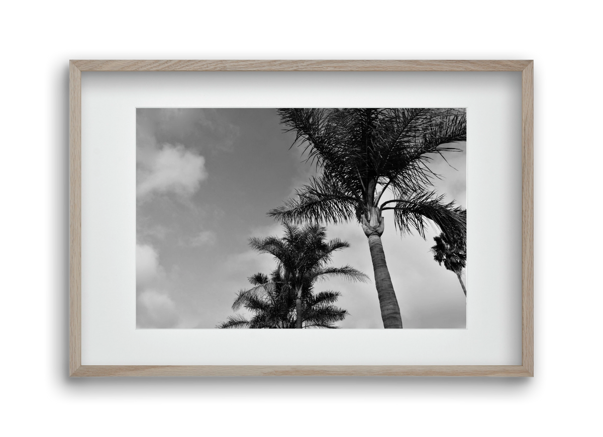 portfolio, 45x30 cm (30x20 cm), Tölgy keret, paszpartuval