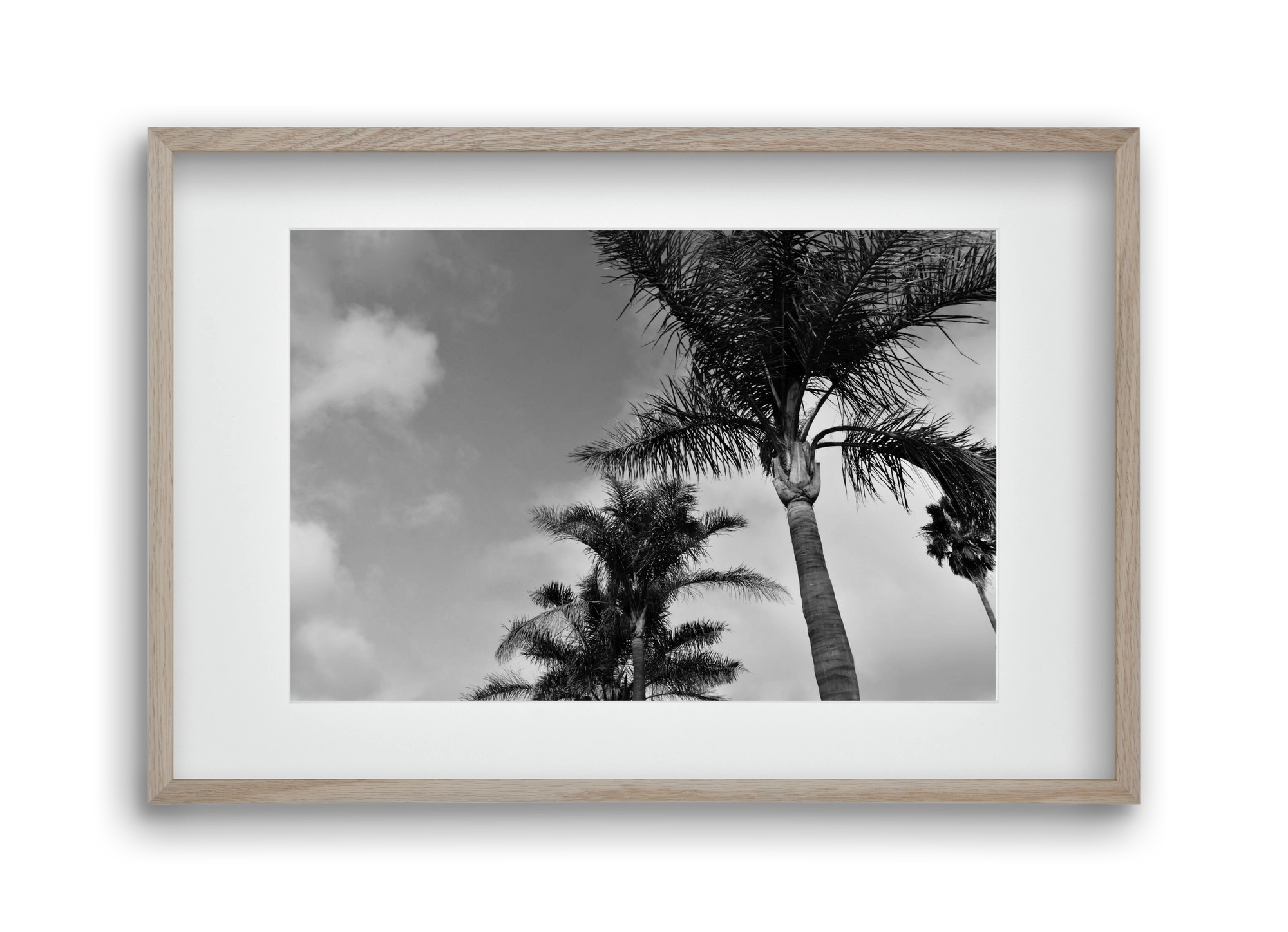 portfolio, 45x30 cm (30x20 cm), Tölgy keret, paszpartuval