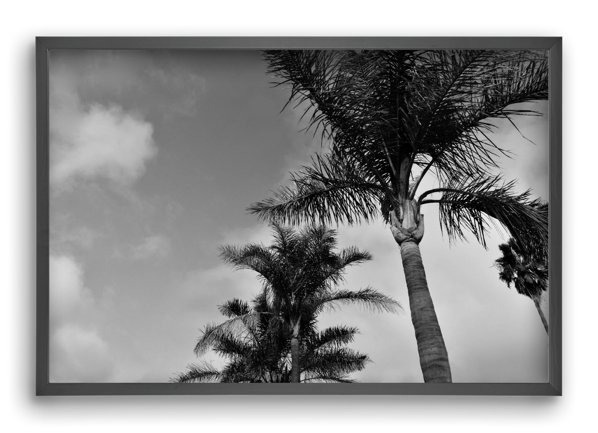 portfolio, 60x40 cm (60x40 cm), Fekete keret