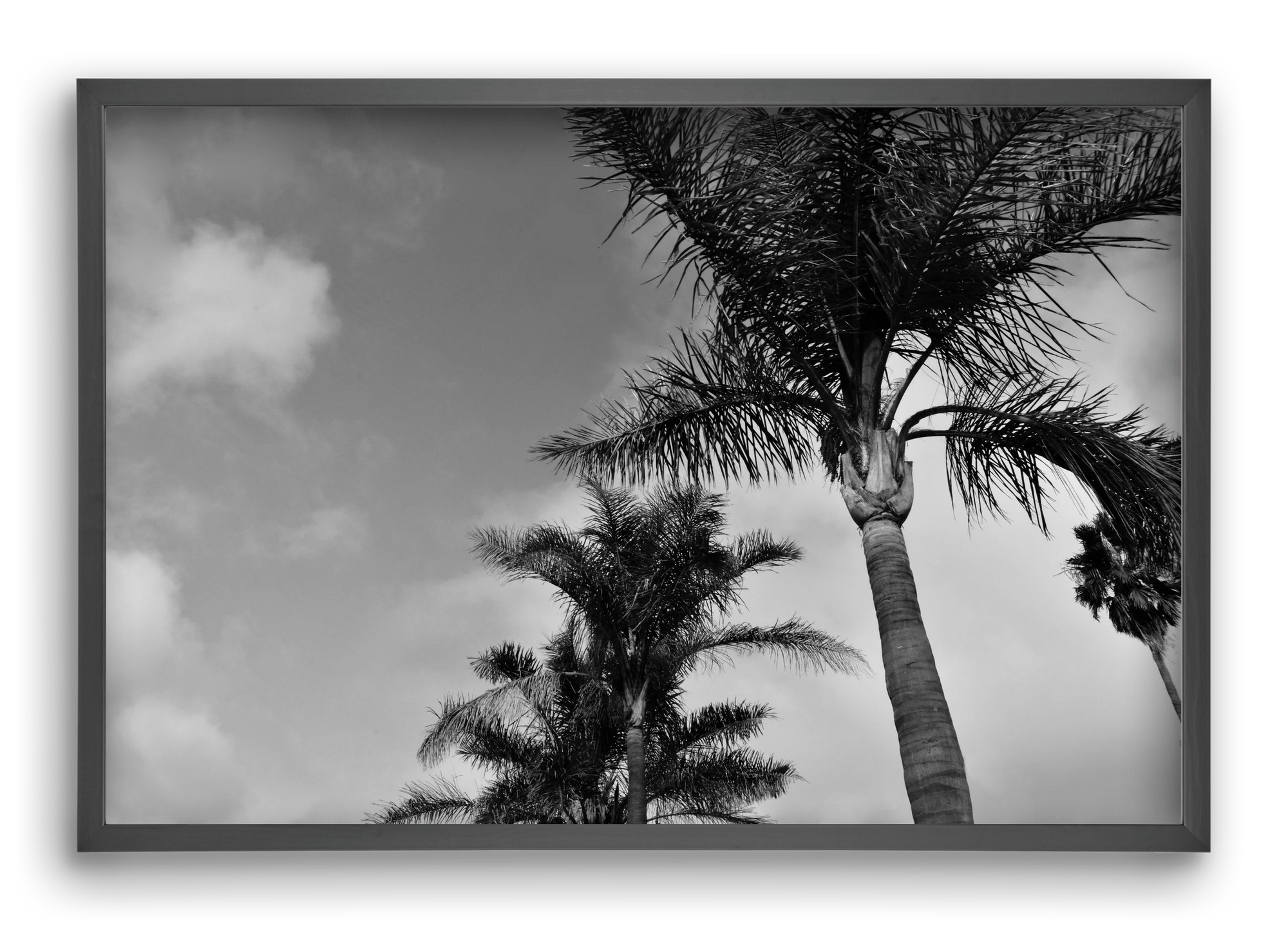 portfolio, 60x40 cm (60x40 cm), Fekete keret