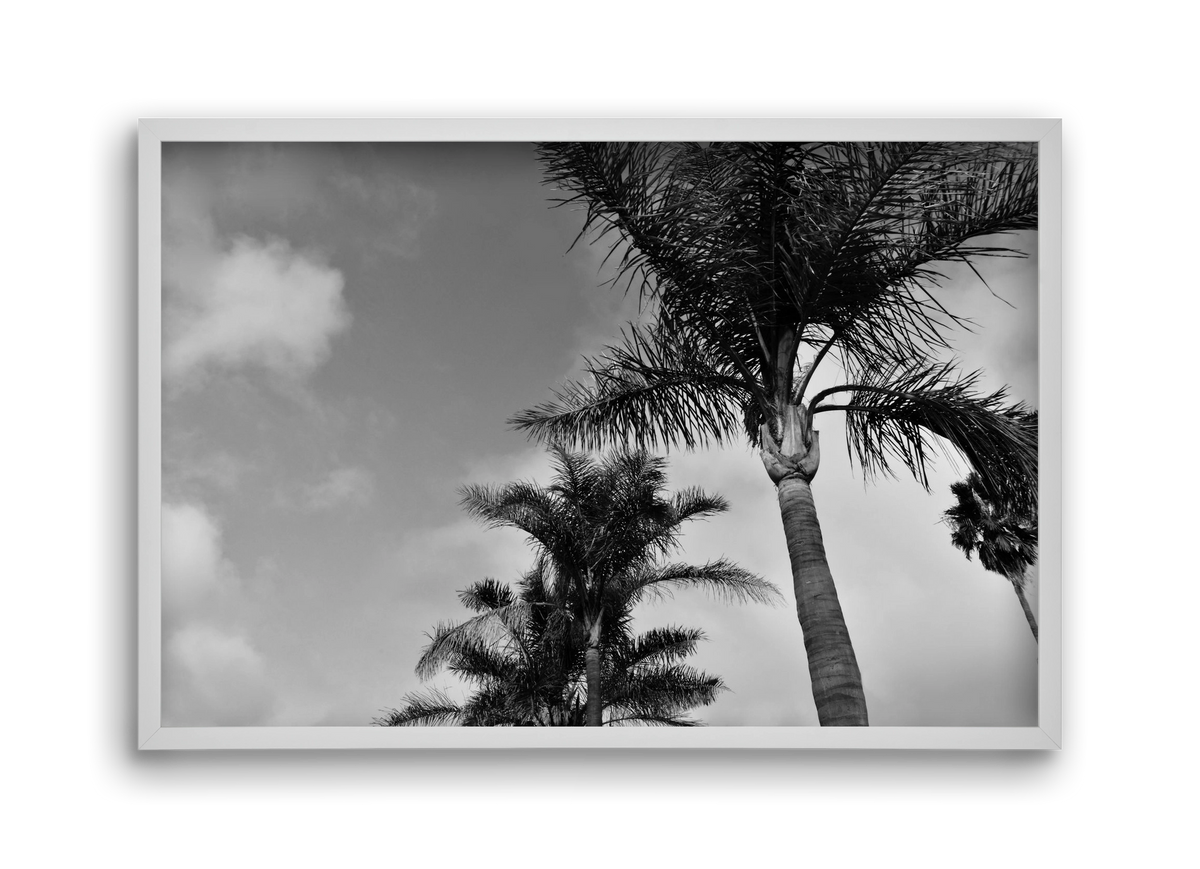 portfolio, 45x30 cm (45x30 cm), Fehér keret