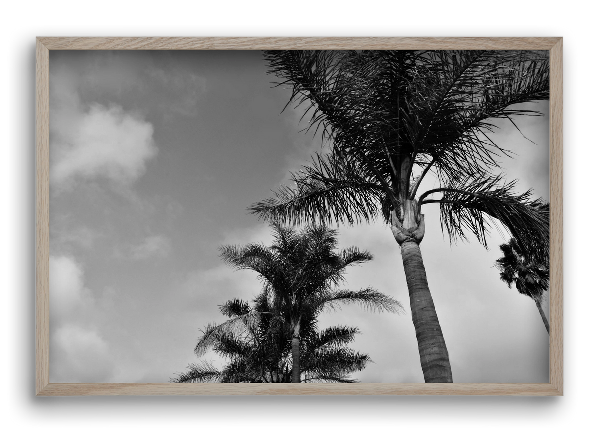 portfolio, 60x40 cm (60x40 cm), Tölgy keret