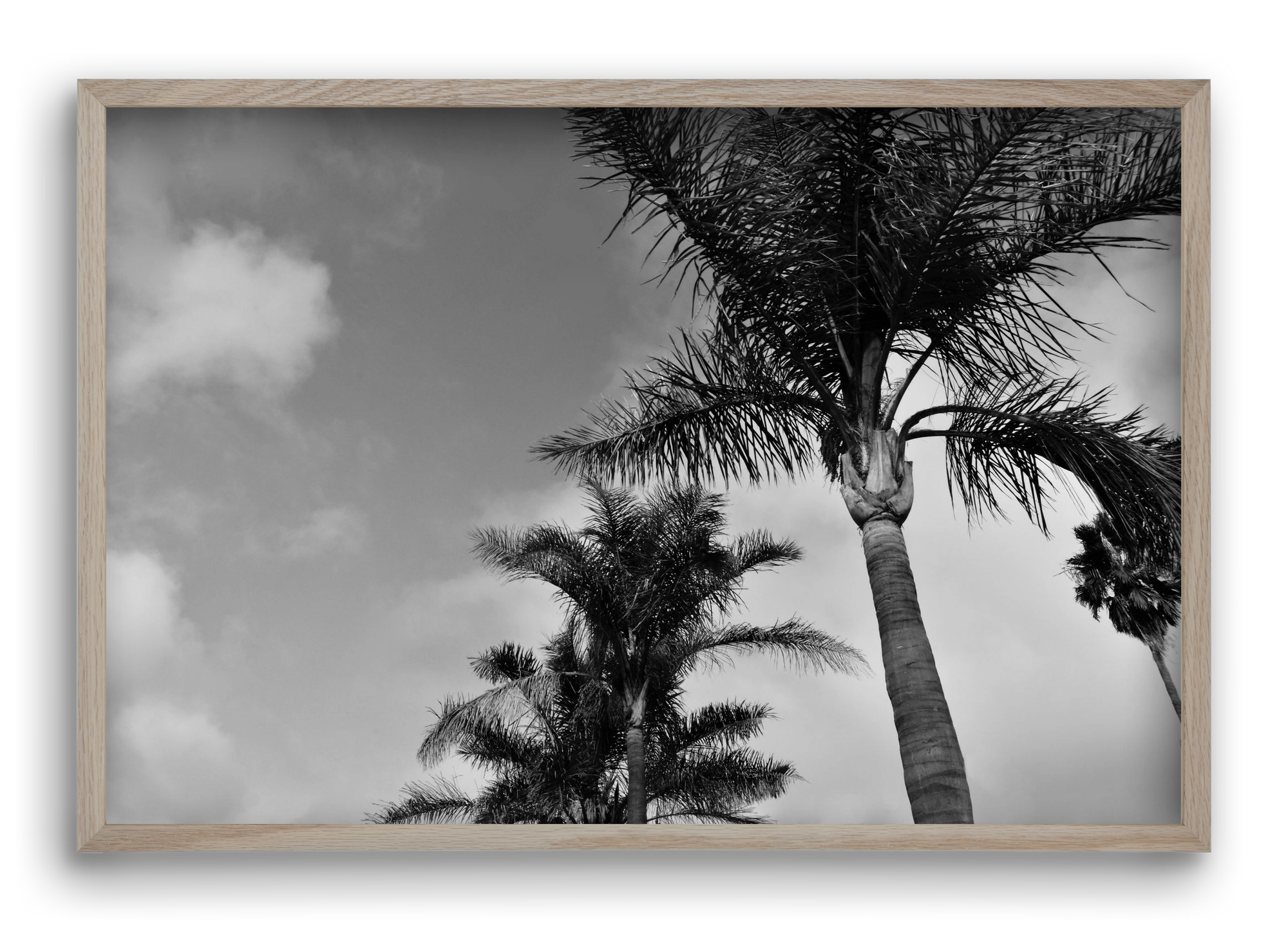 portfolio, 60x40 cm (60x40 cm), Tölgy keret