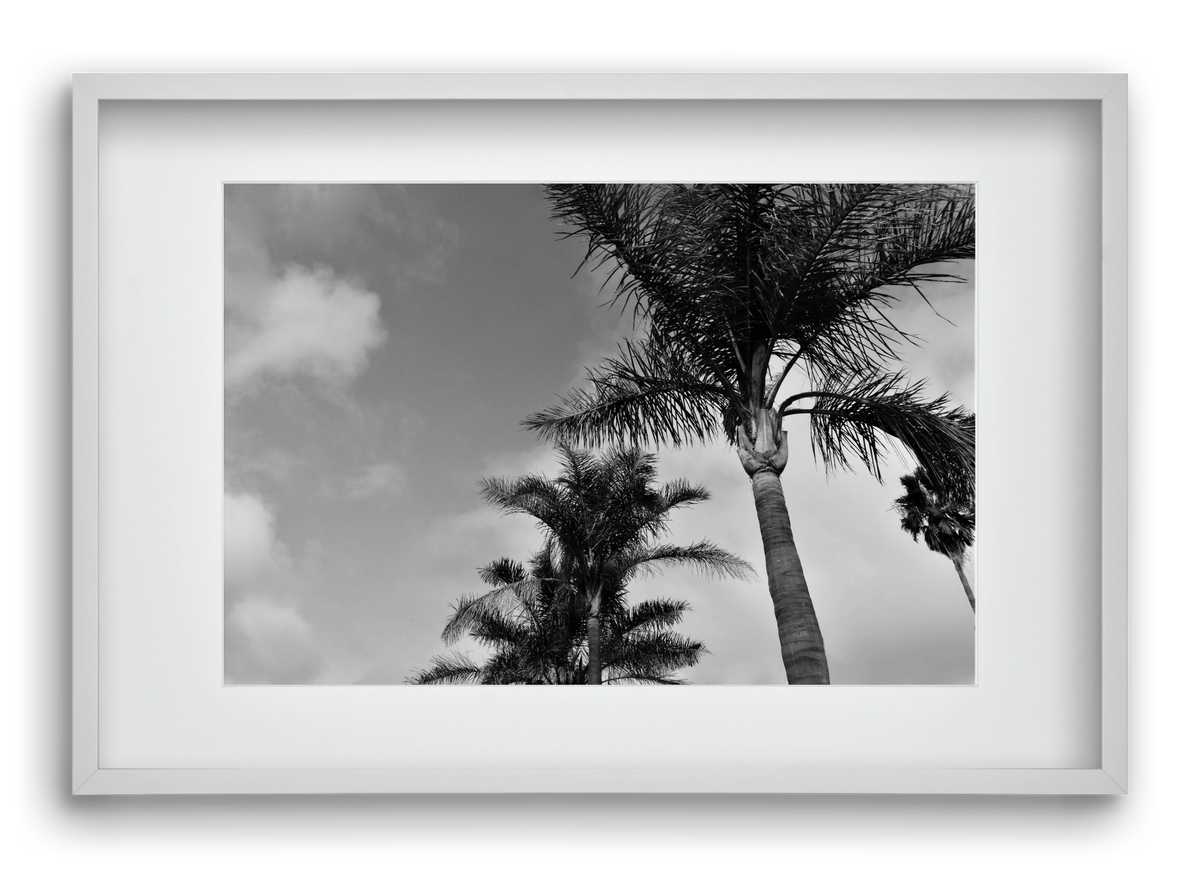 portfolio, 60x40 cm (45x30 cm), Fehér keret, paszpartuval