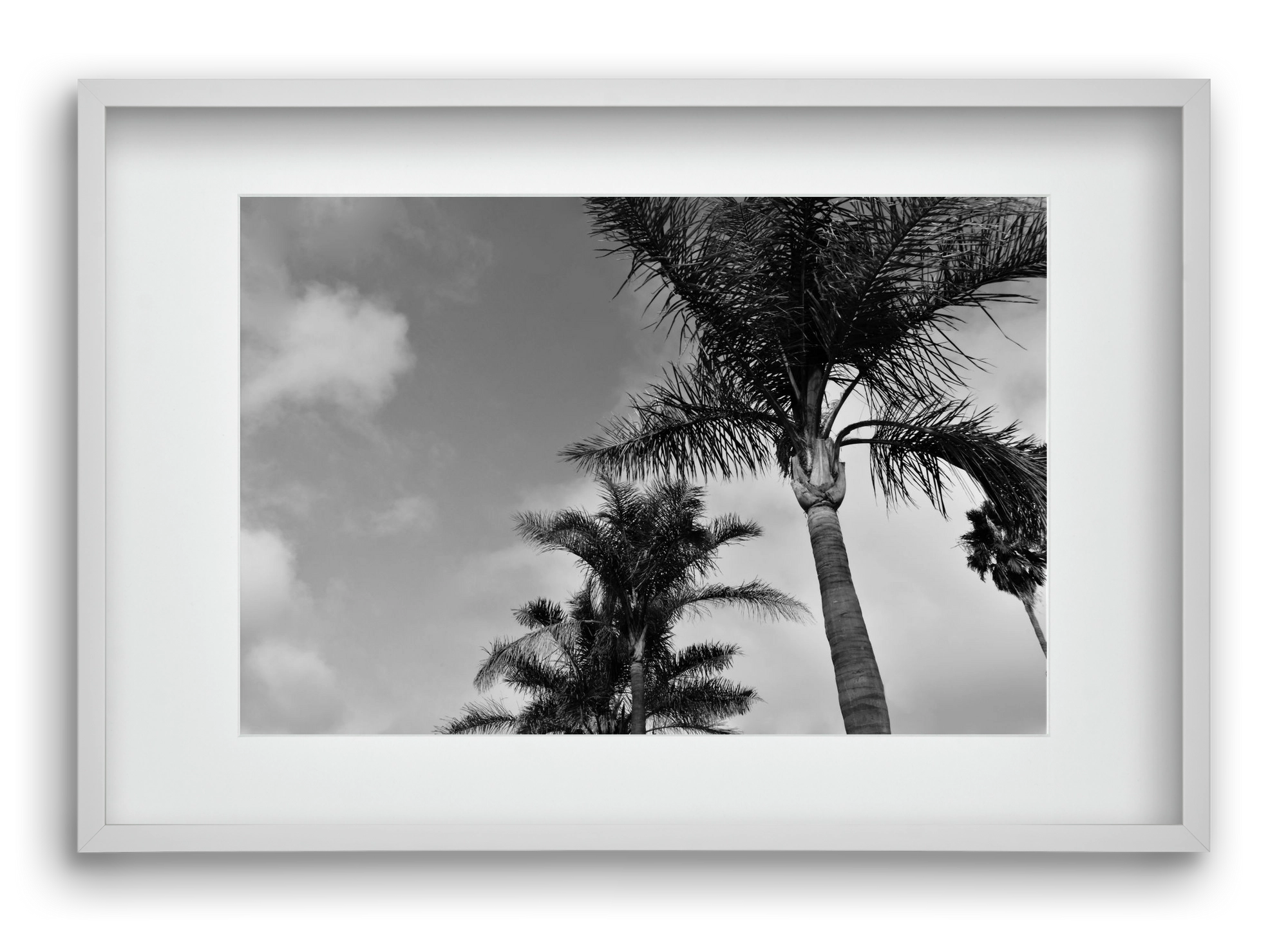 portfolio, 60x40 cm (45x30 cm), Fehér keret, paszpartuval