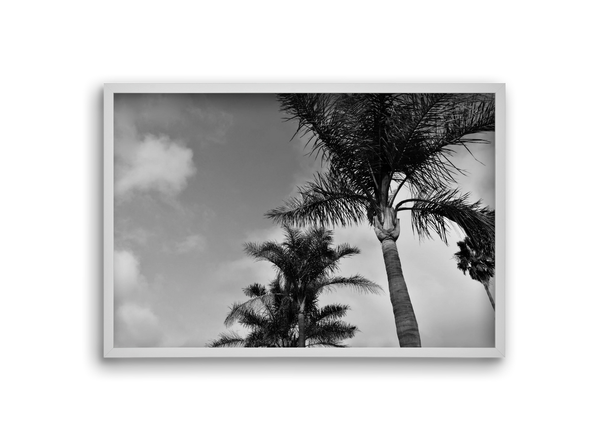 portfolio, 30x20 cm (30x20 cm), Fehér keret