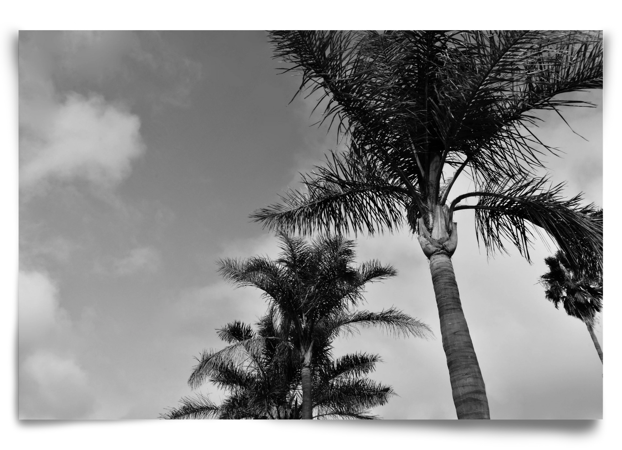 portfolio, 90x60 cm, Keret nélkül