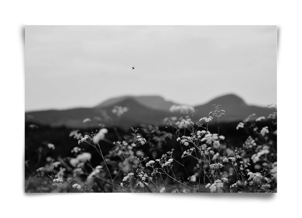 Low Giants, 60x40 cm, Keret nélkül