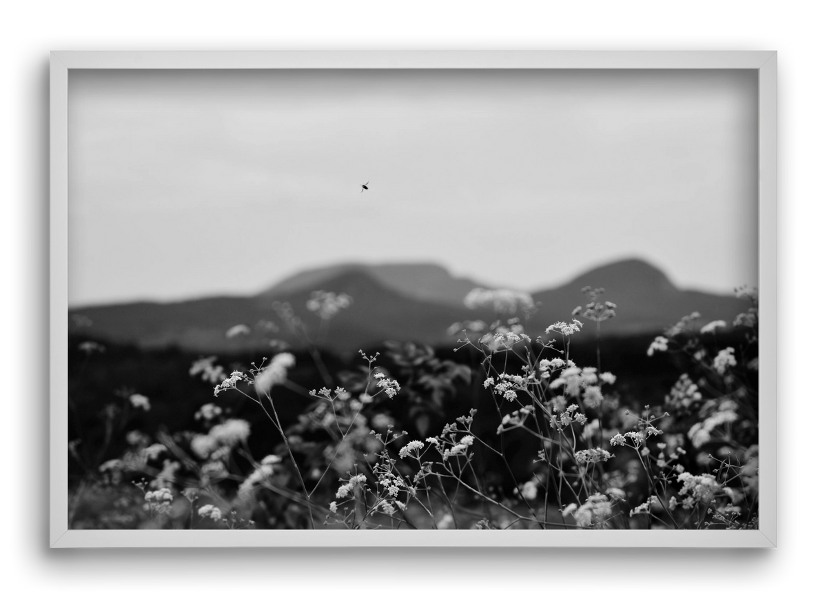 Low Giants, 60x40 cm (60x40 cm), Fehér keret