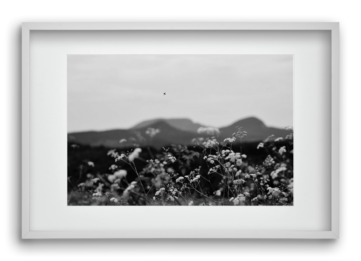 Low Giants, 60x40 cm (45x30 cm), Fehér keret, paszpartuval