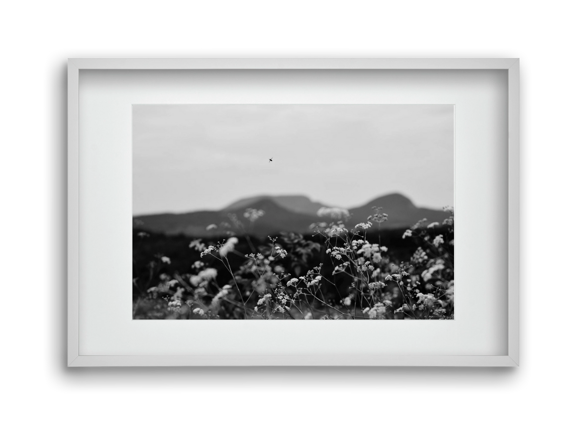 Low Giants, 45x30 cm (30x20 cm), Fehér keret, paszpartuval