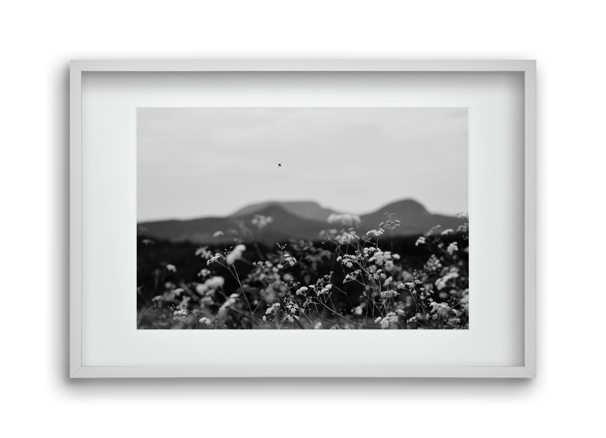 Low Giants, 45x30 cm (30x20 cm), Fehér keret, paszpartuval