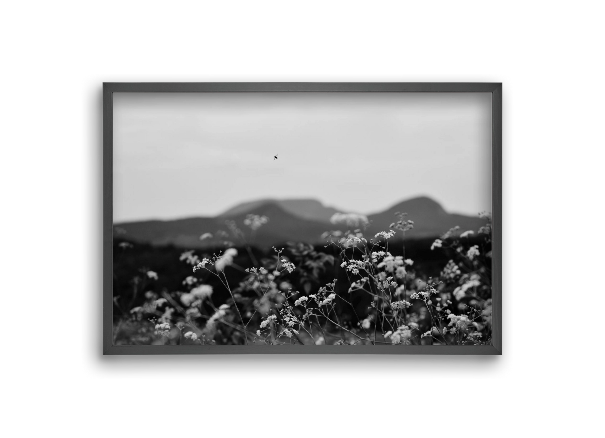 Low Giants, 30x20 cm (30x20 cm), Fekete keret