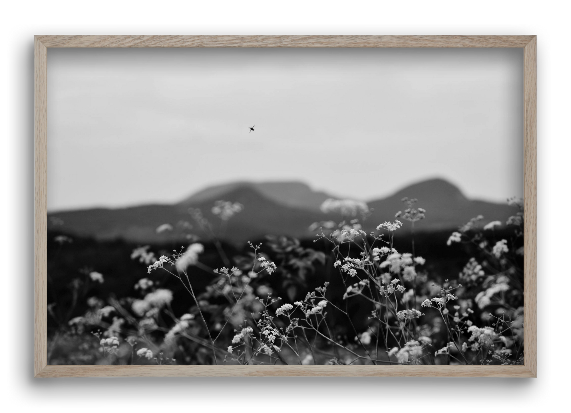 Low Giants, 60x40 cm (60x40 cm), Tölgy keret