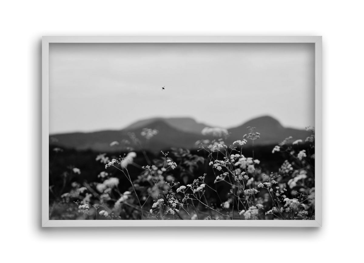 Low Giants, 45x30 cm (45x30 cm), Fehér keret