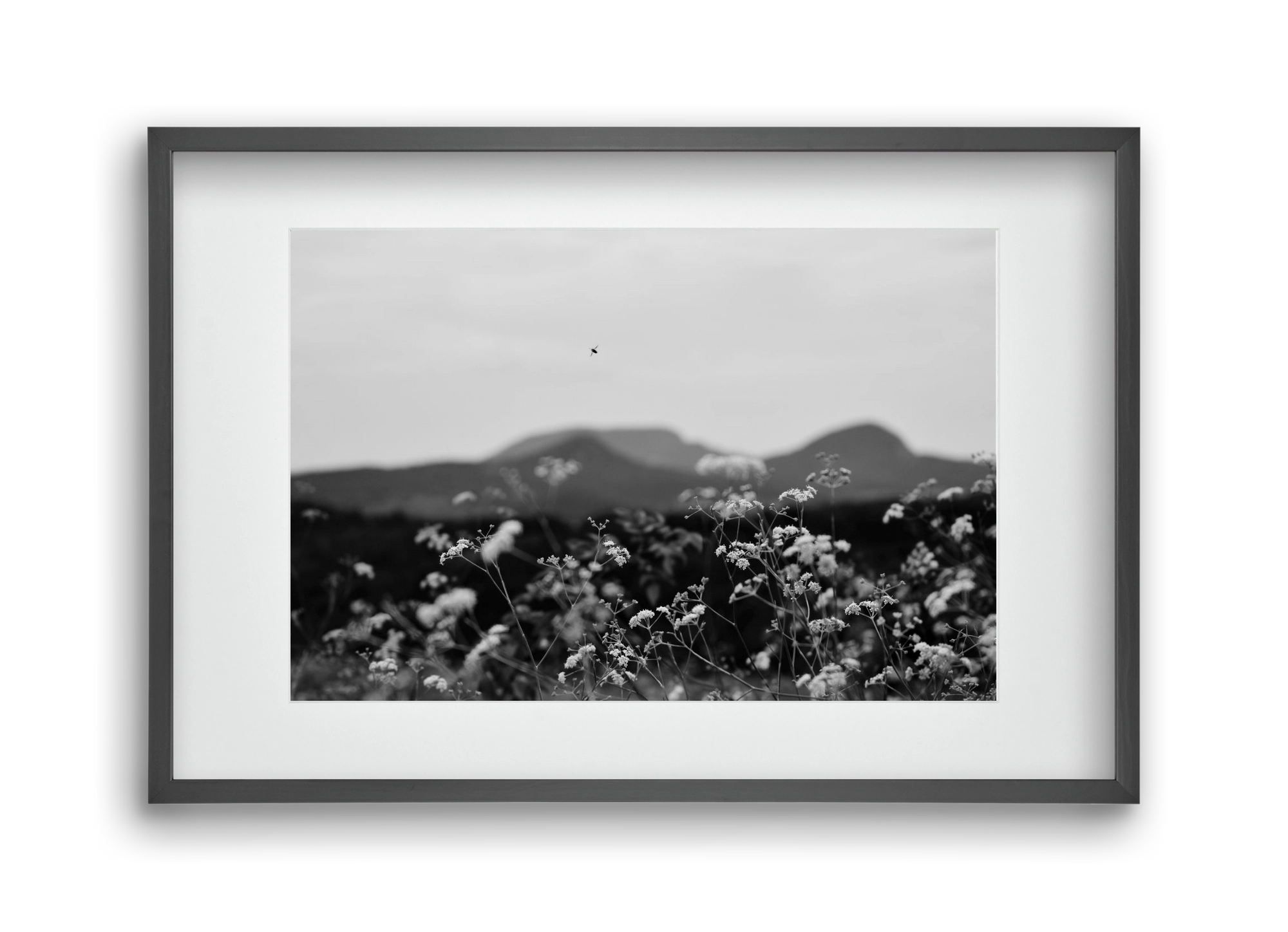 Low Giants, 45x30 cm (30x20 cm), Fekete keret, paszpartuval