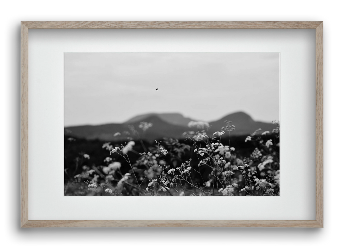 Low Giants, 60x40 cm (45x30 cm), Tölgy keret, paszpartuval