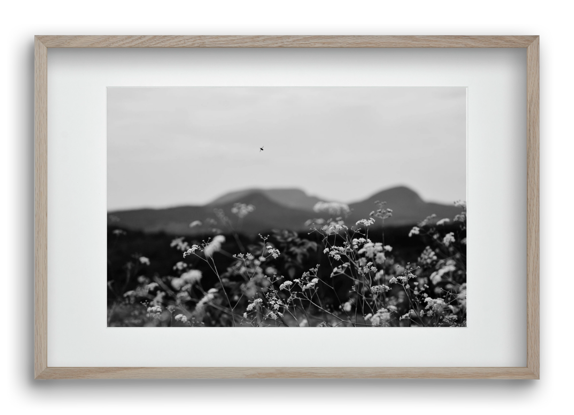 Low Giants, 60x40 cm (45x30 cm), Tölgy keret, paszpartuval