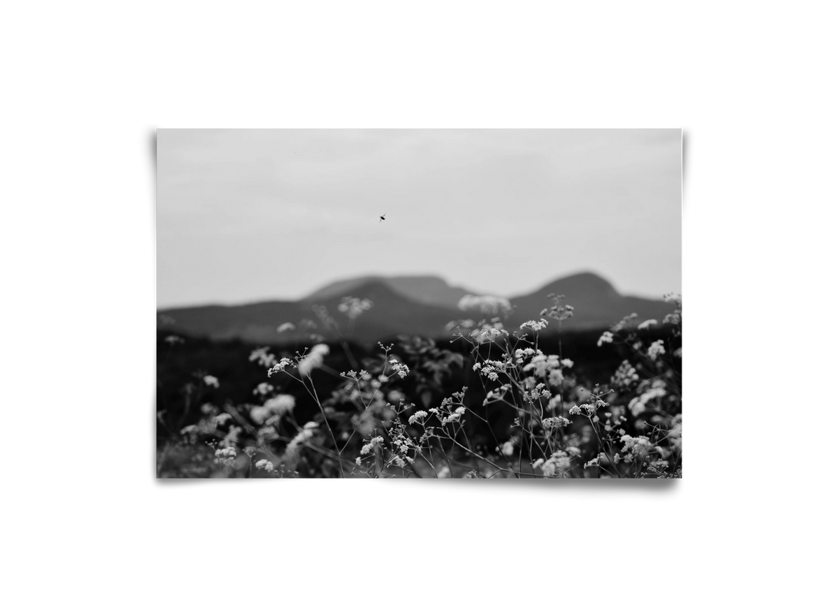 Low Giants, 30x20 cm, Keret nélkül