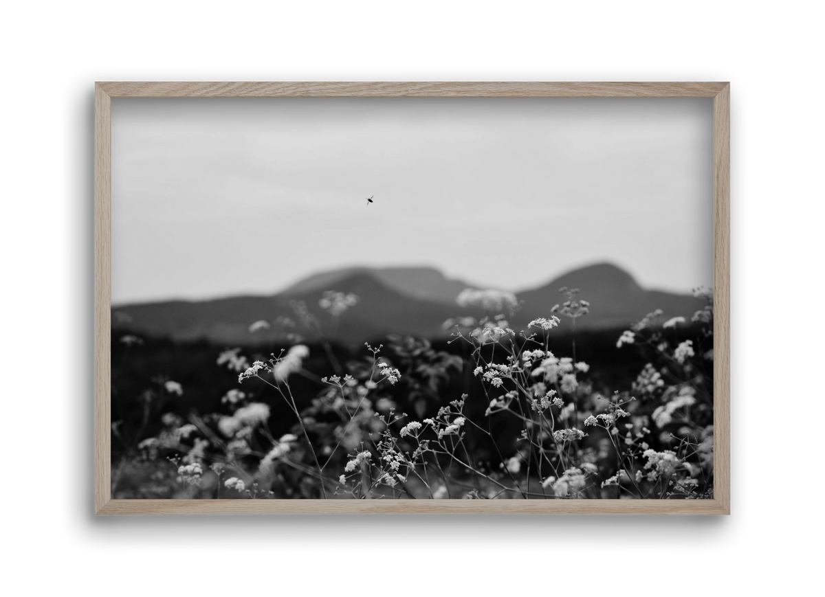 Low Giants, 45x30 cm (45x30 cm), Tölgy keret