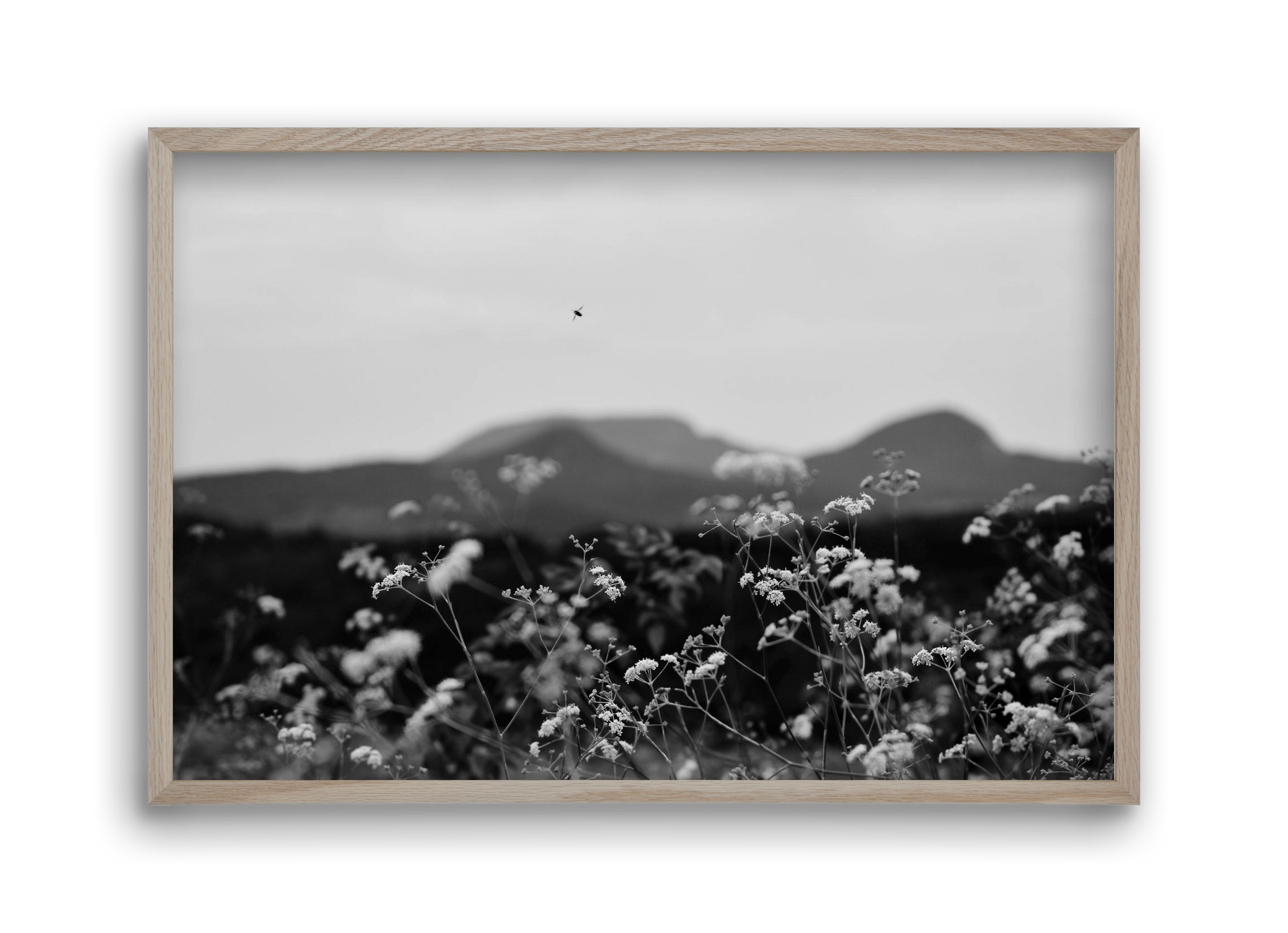 Low Giants, 45x30 cm (45x30 cm), Tölgy keret