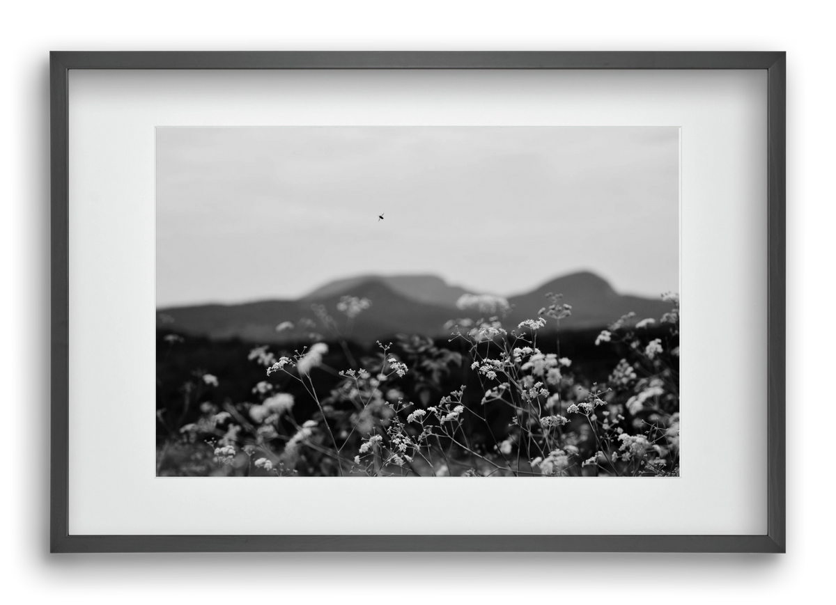 Low Giants, 60x40 cm (45x30 cm), Fekete keret, paszpartuval