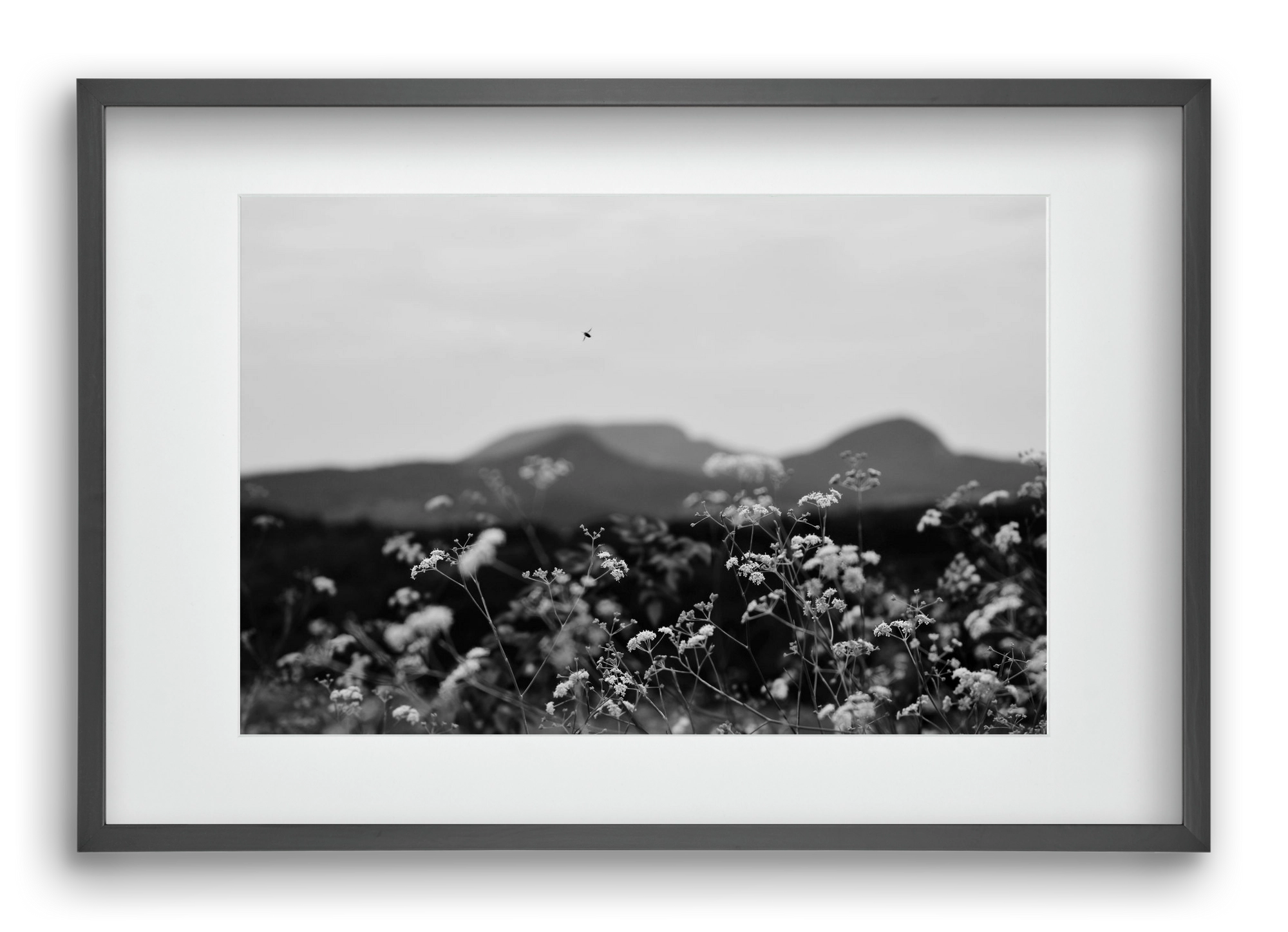 Low Giants, 60x40 cm (45x30 cm), Fekete keret, paszpartuval