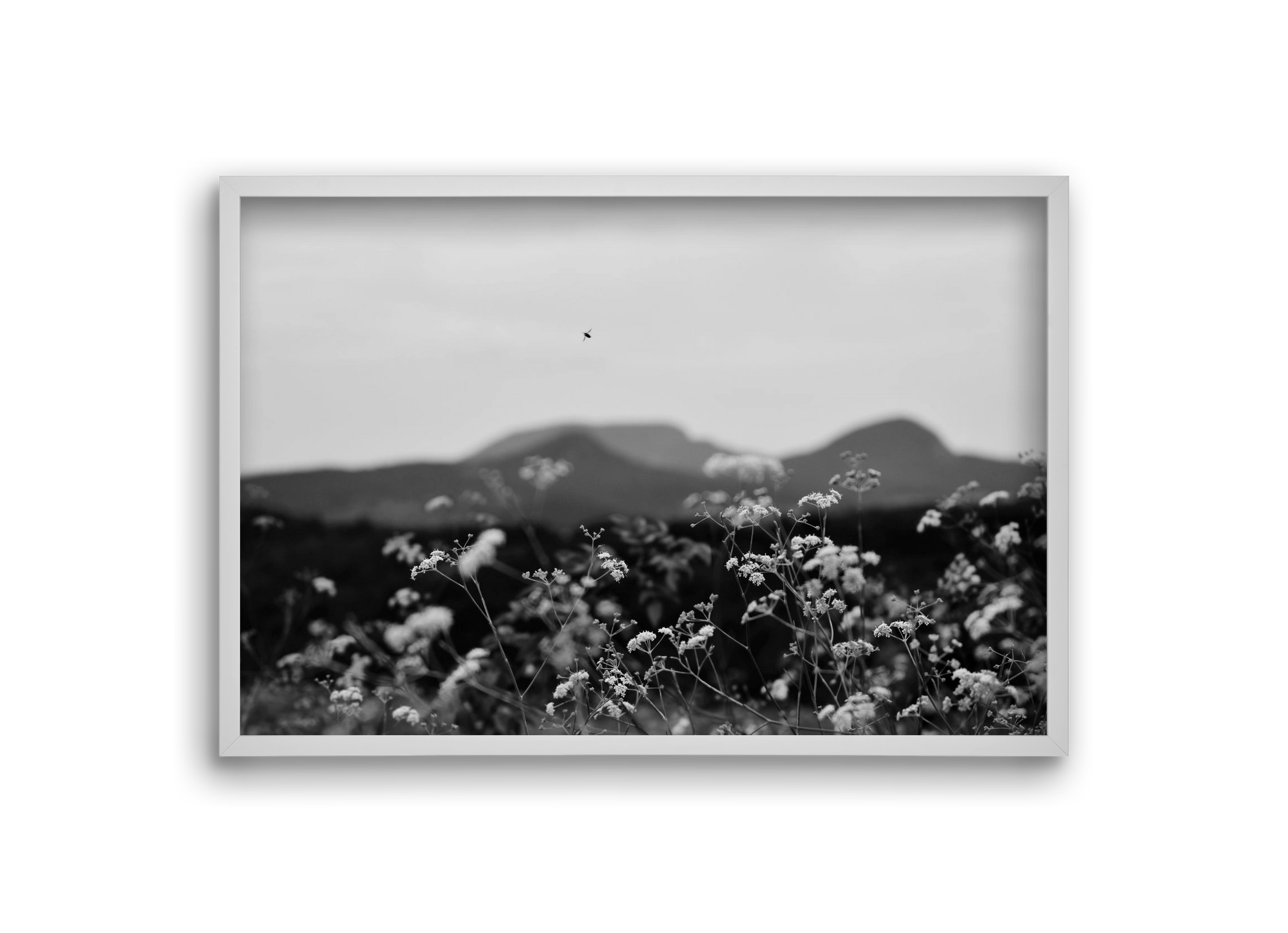 Low Giants, 30x20 cm (30x20 cm), Fehér keret