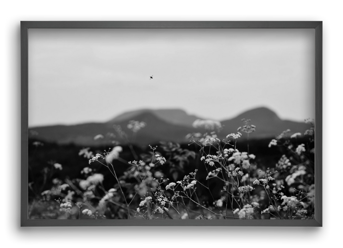 Low Giants, 60x40 cm (60x40 cm), Fekete keret