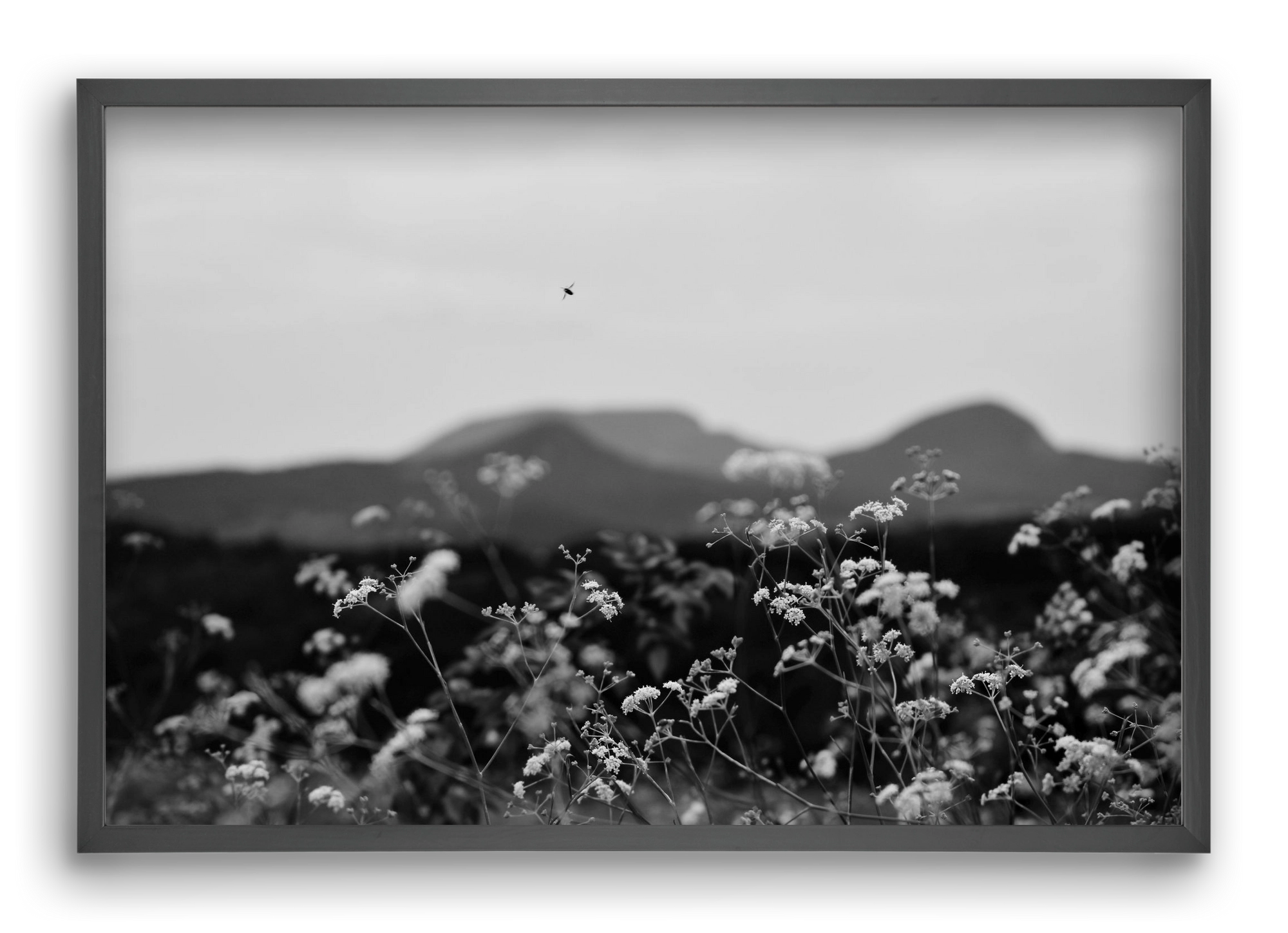 Low Giants, 60x40 cm (60x40 cm), Fekete keret