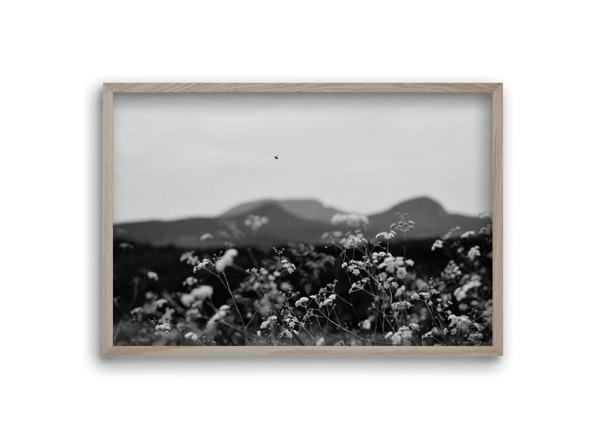 Low Giants, 30x20 cm (30x20 cm), Tölgy keret