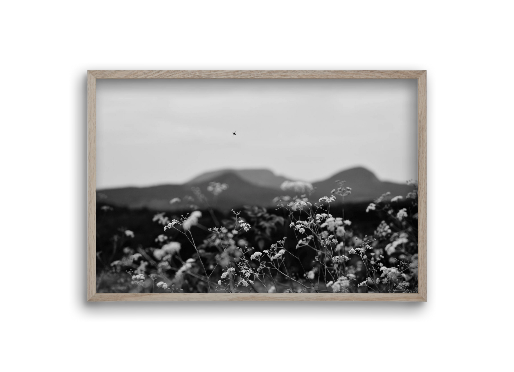 Low Giants, 30x20 cm (30x20 cm), Tölgy keret