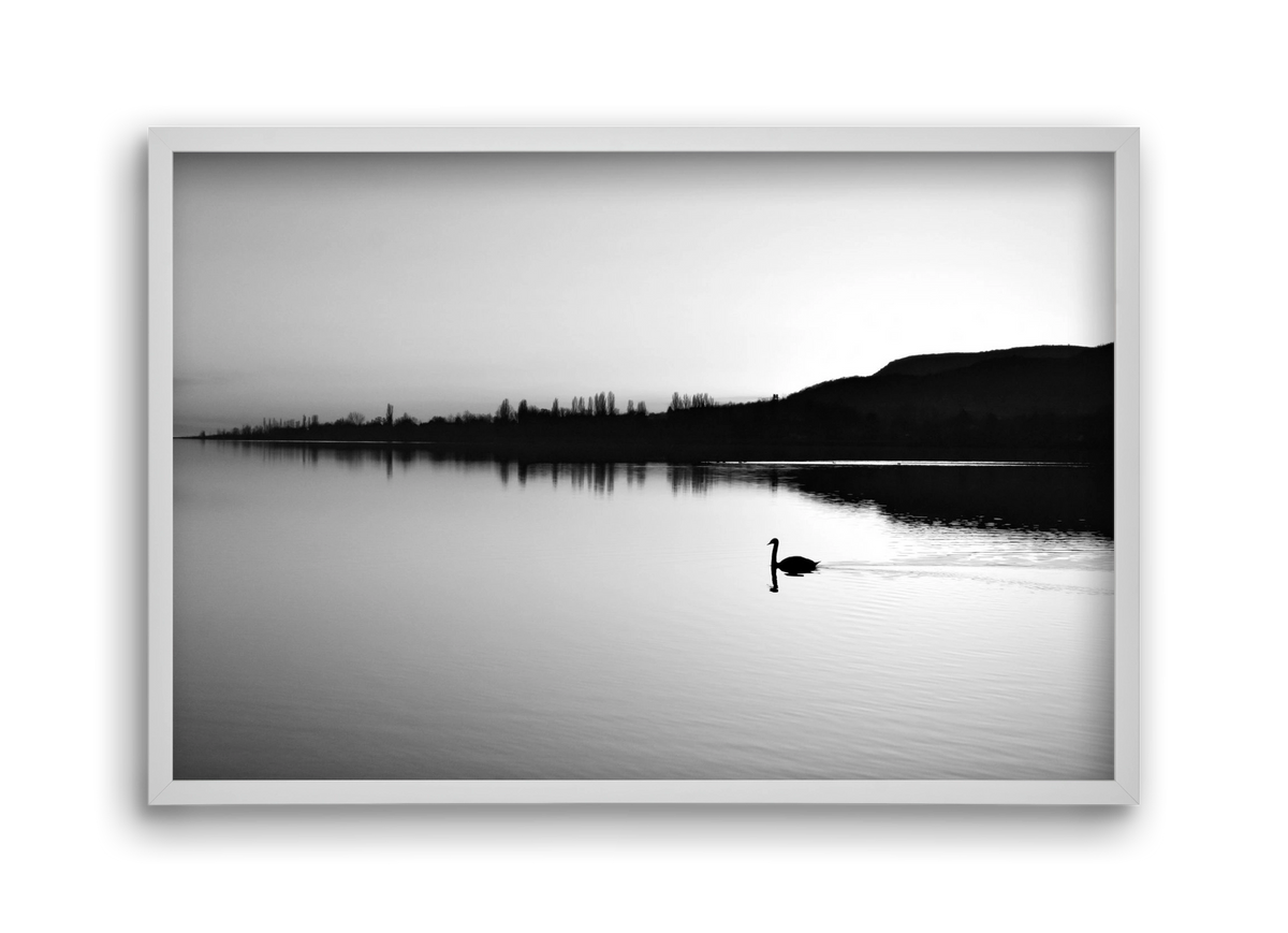 Sundress, 45x30 cm (45x30 cm), Fehér keret