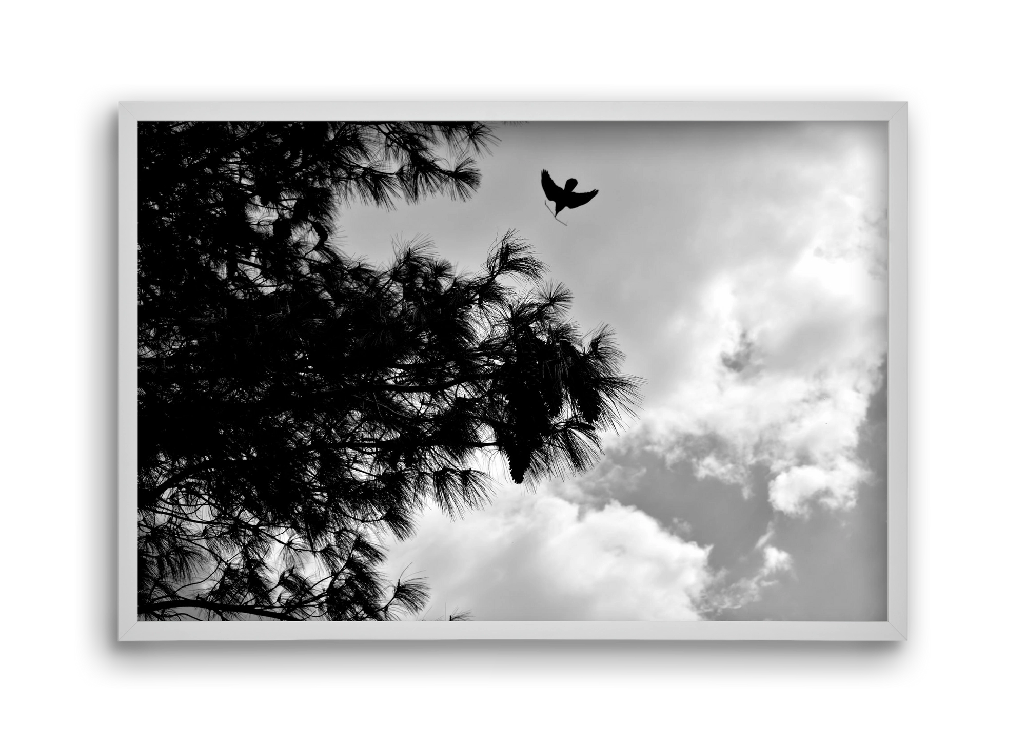 CARE, 45x30 cm (45x30 cm), Fehér keret