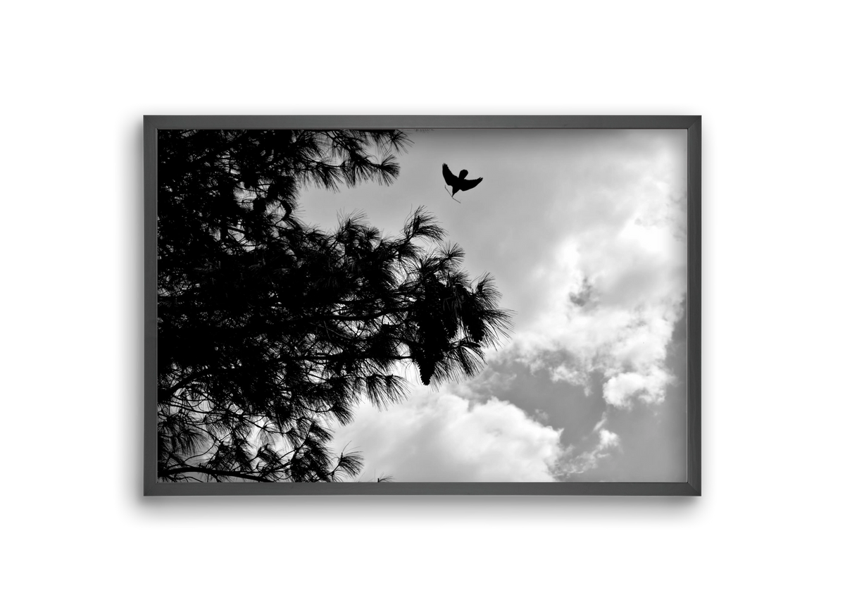 CARE, 30x20 cm (30x20 cm), Fekete keret