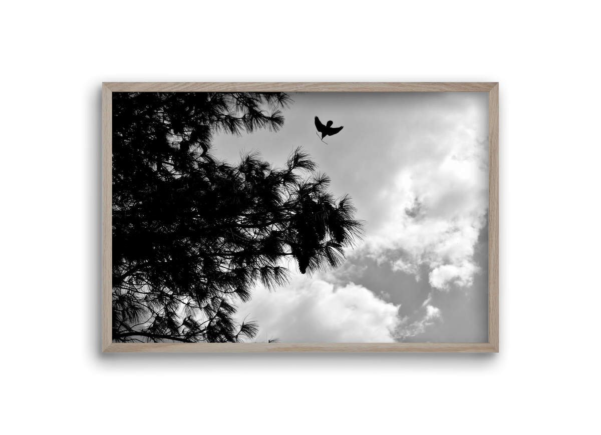 CARE, 30x20 cm (30x20 cm), Tölgy keret