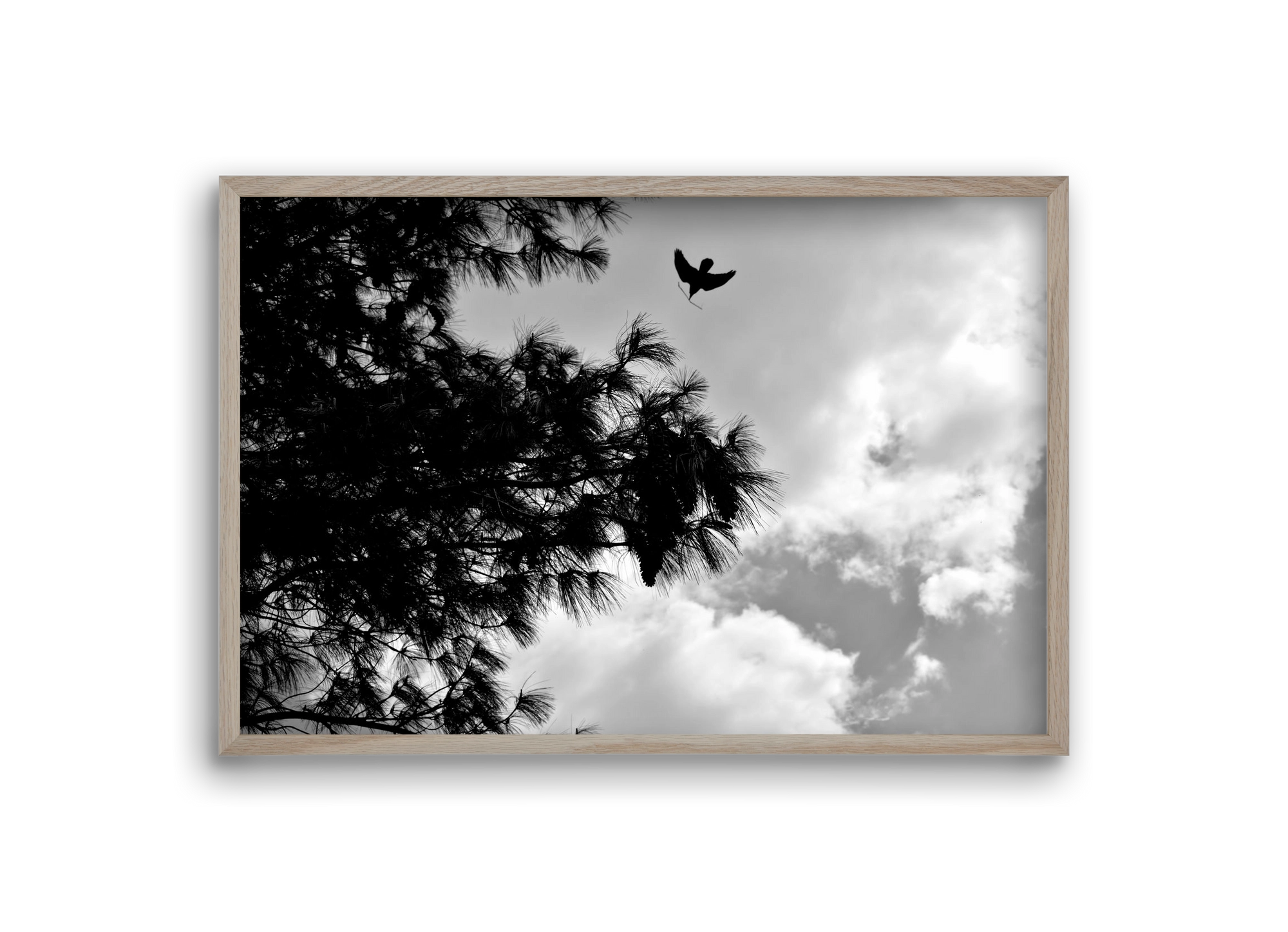 CARE, 30x20 cm (30x20 cm), Tölgy keret