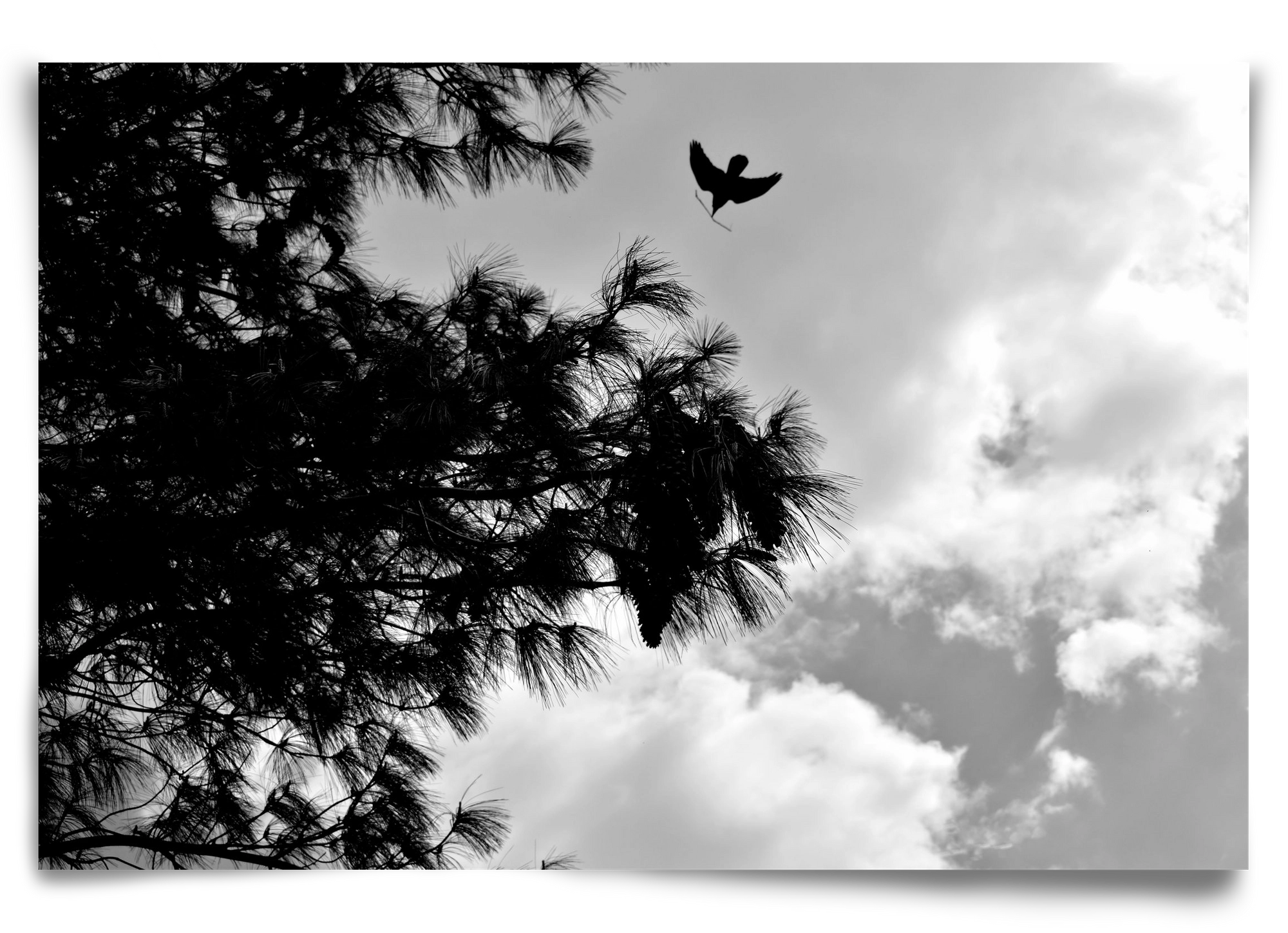 CARE, 90x60 cm, Keret nélkül