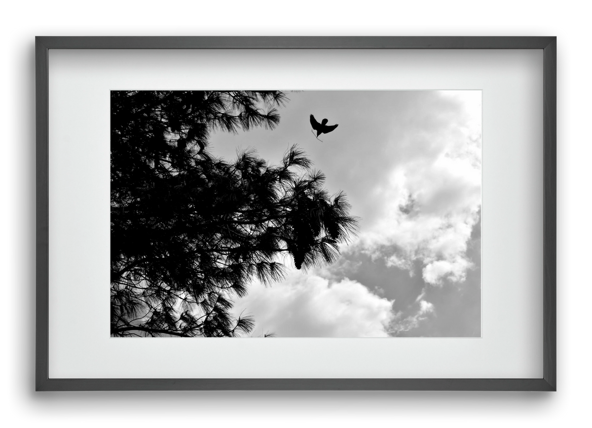 CARE, 60x40 cm (45x30 cm), Fekete keret, paszpartuval