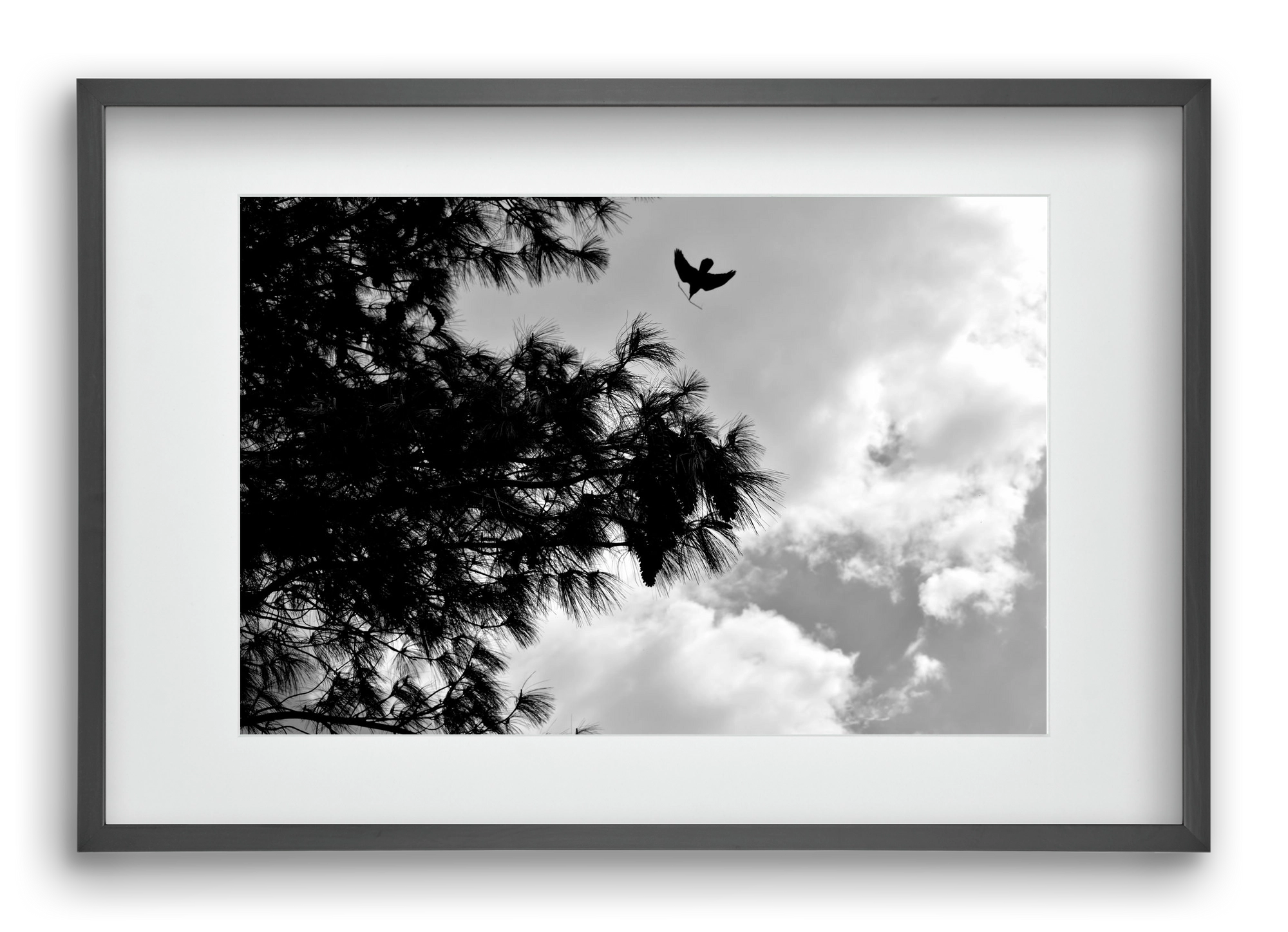 CARE, 60x40 cm (45x30 cm), Fekete keret, paszpartuval