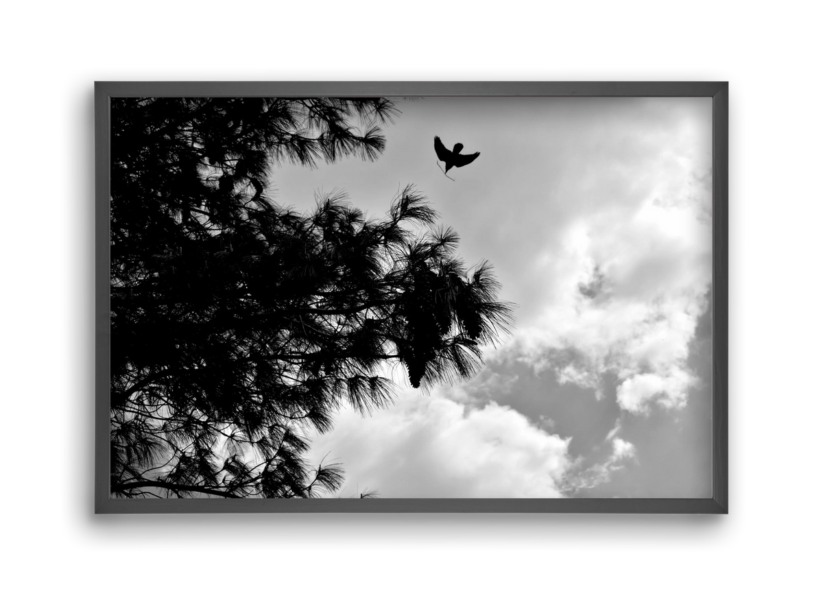 CARE, 45x30 cm (45x30 cm), Fekete keret