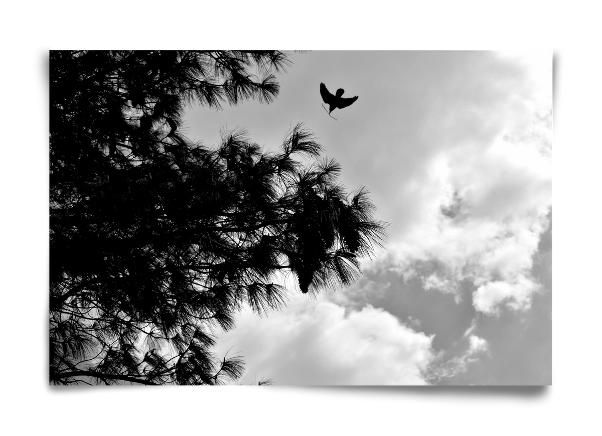 CARE, 60x40 cm, Keret nélkül