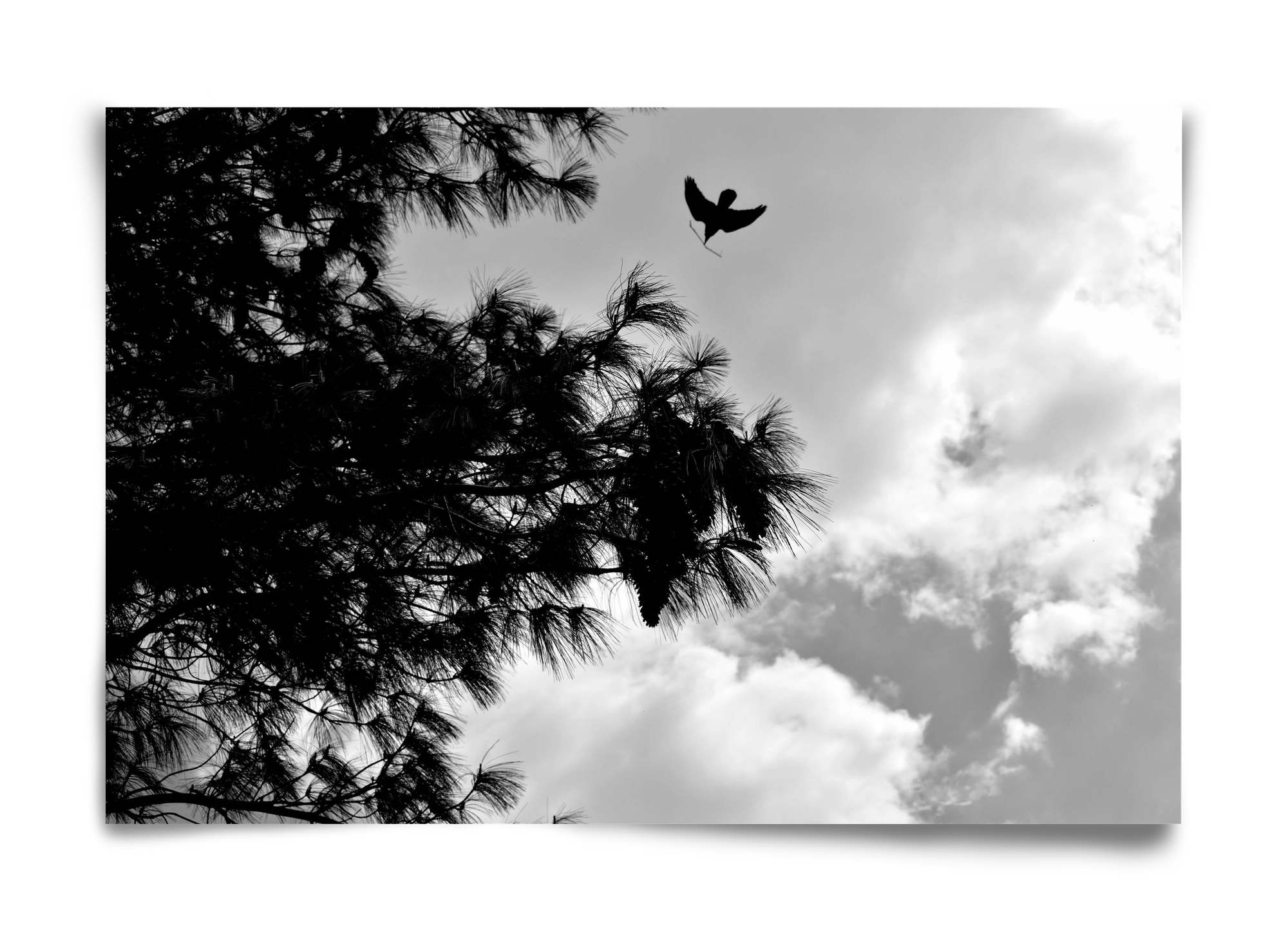 CARE, 60x40 cm, Keret nélkül