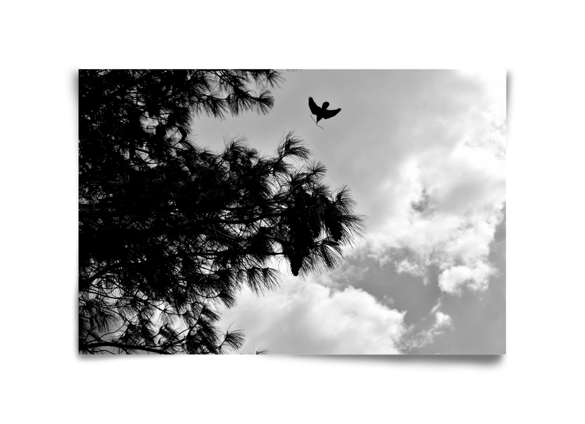 CARE, 45x30 cm, Keret nélkül