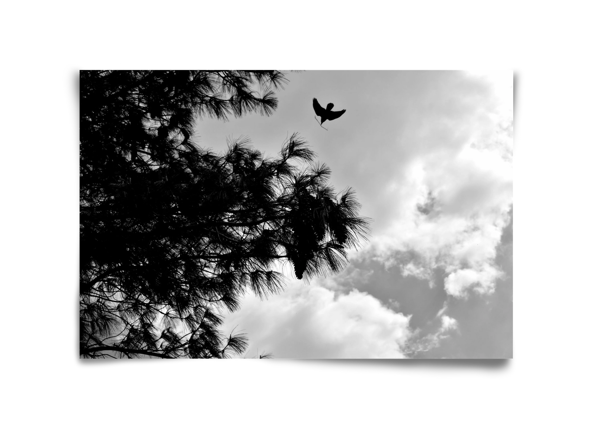 CARE, 45x30 cm, Keret nélkül