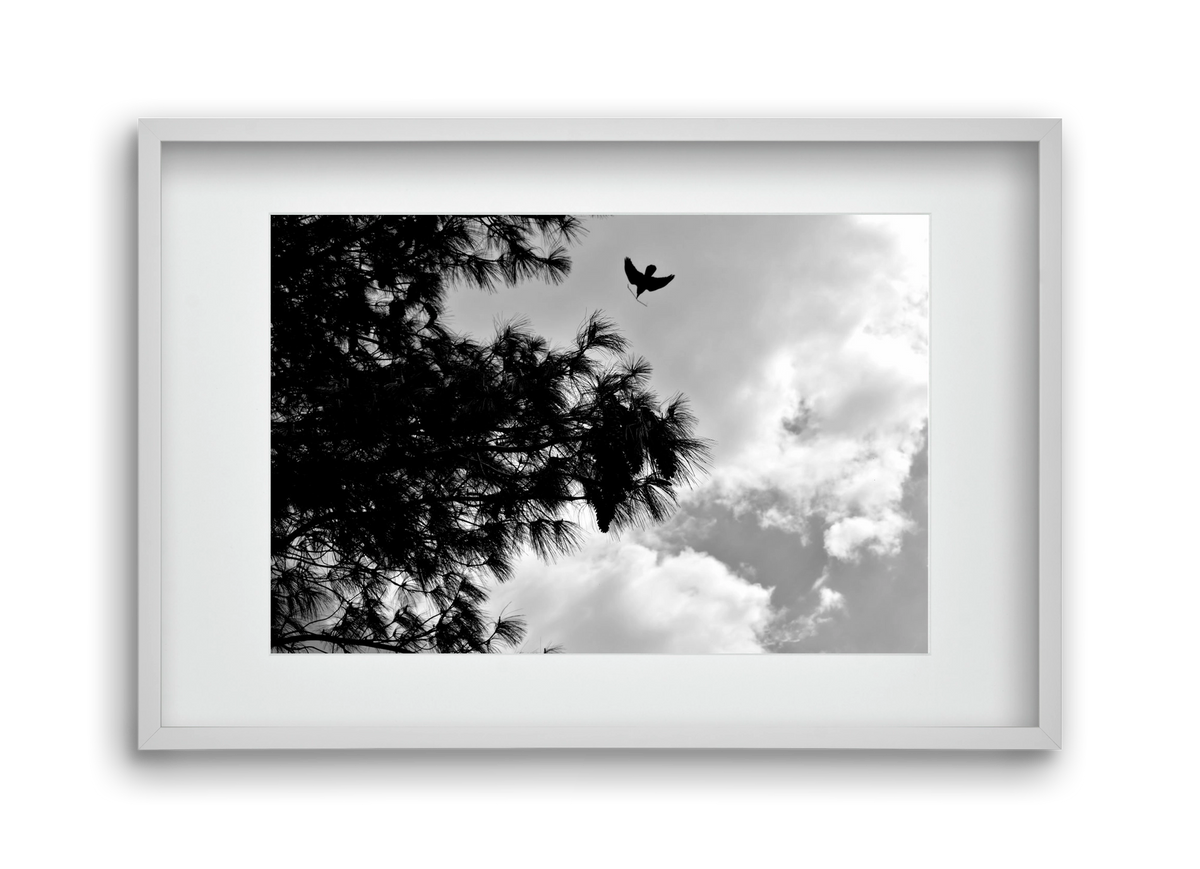 CARE, 45x30 cm (30x20 cm), Fehér keret, paszpartuval