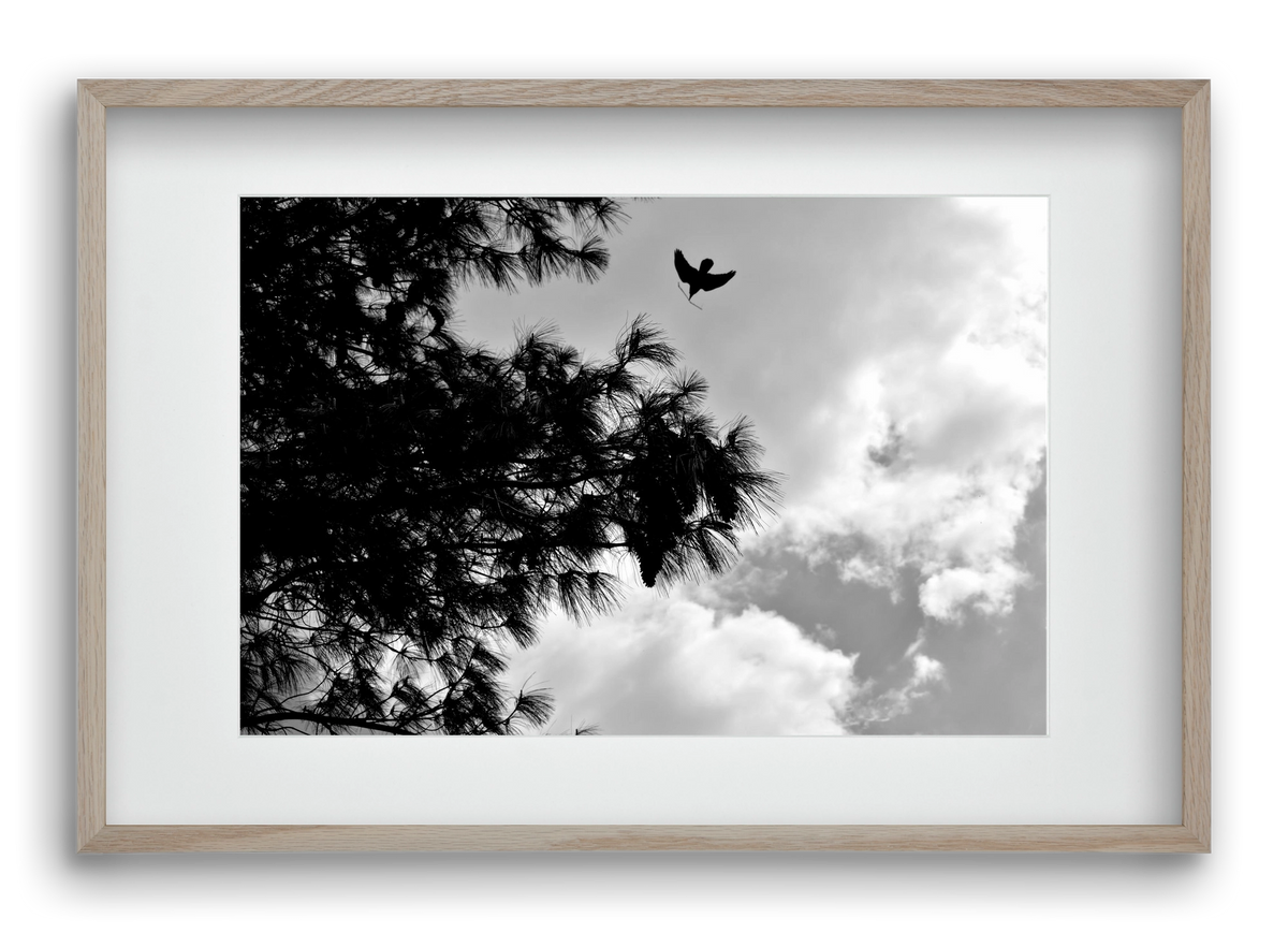 CARE, 60x40 cm (45x30 cm), Tölgy keret, paszpartuval