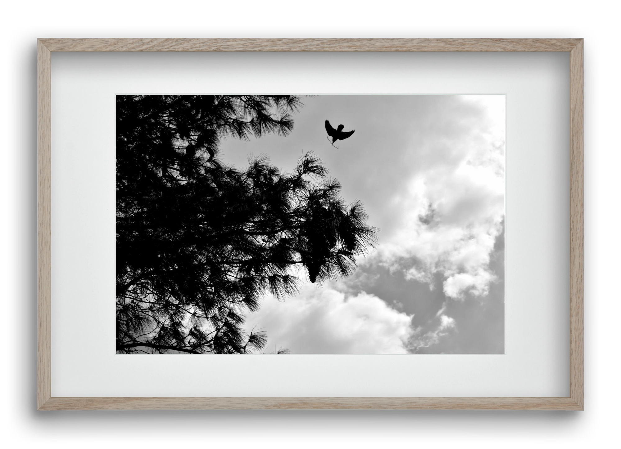 CARE, 60x40 cm (45x30 cm), Tölgy keret, paszpartuval